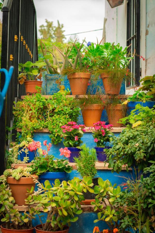 Bohemian Villa - Malaga Alora Extérieur photo